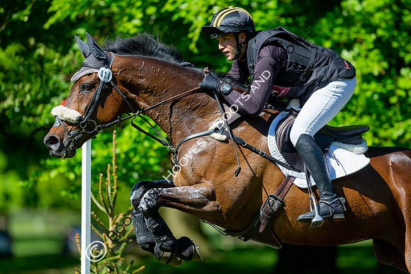 Houghton International