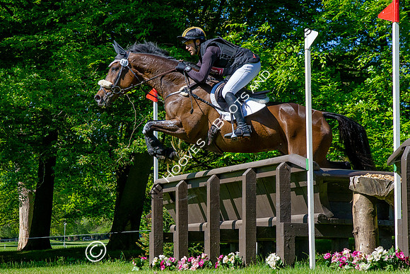 Houghton International