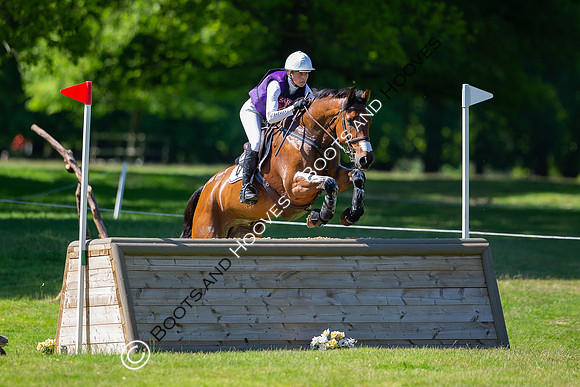 Houghton International