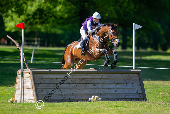 Houghton International