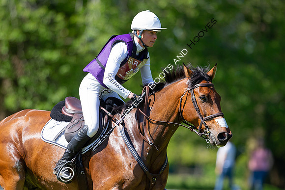 Houghton International