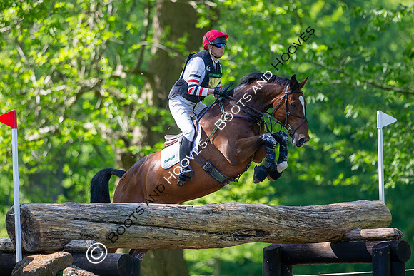 Houghton International