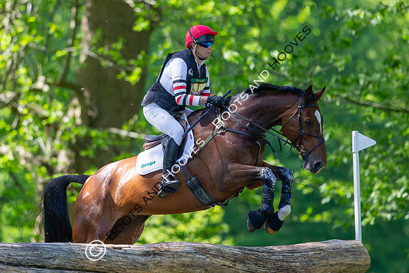 Houghton International