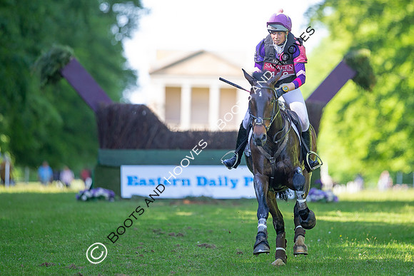 Houghton International