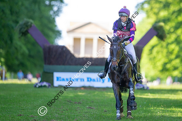 Houghton International