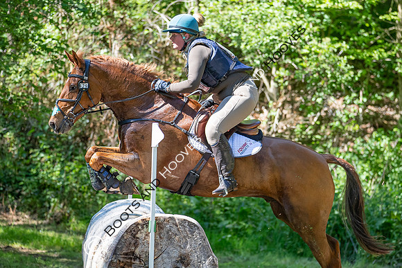 Houghton International
