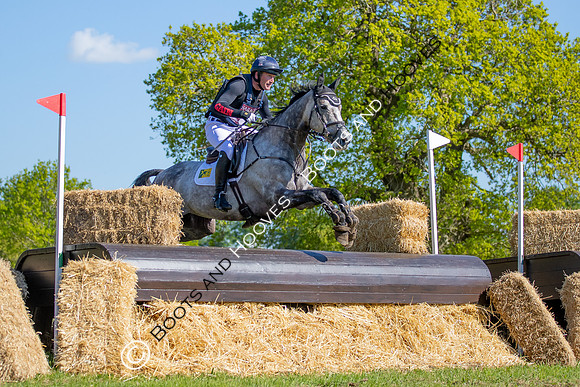 Houghton International