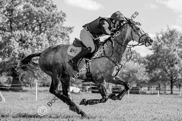 Houghton International