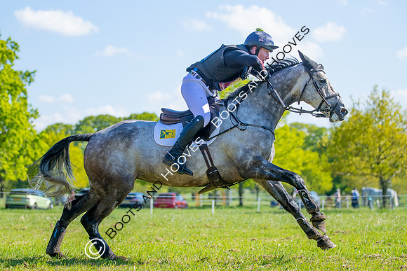 Houghton International