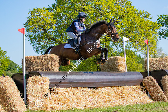 Houghton International