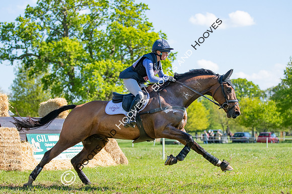 Houghton International