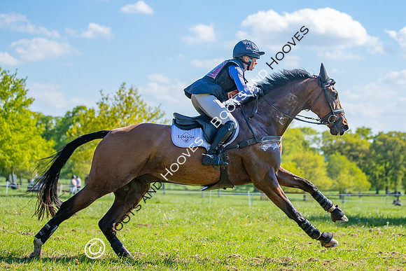 Houghton International