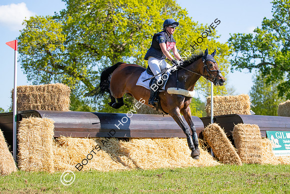 Houghton International