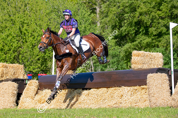 Houghton International