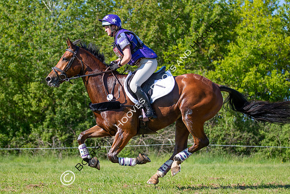 Houghton International