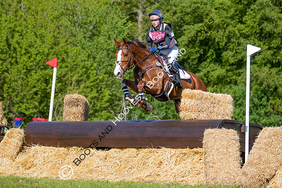 Houghton International