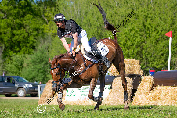 Houghton International