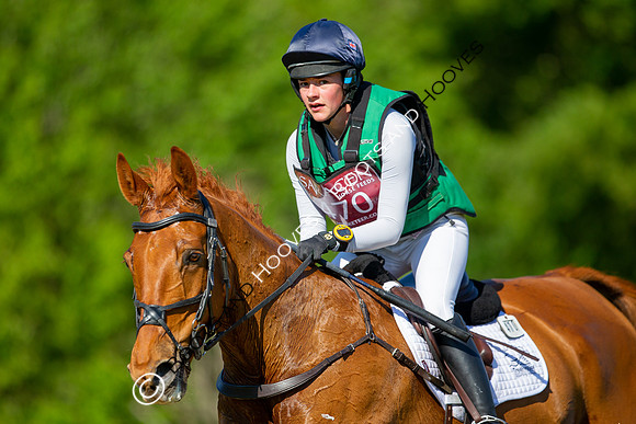 Houghton International