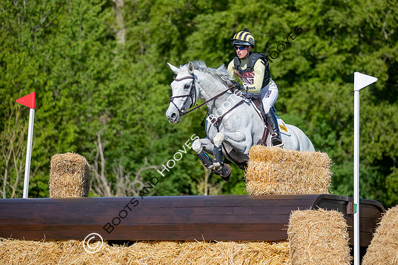 Houghton International