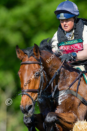 Houghton International