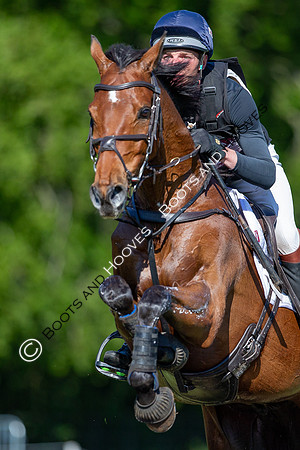 Houghton International