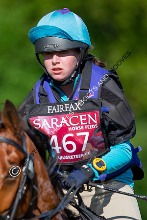 Houghton International