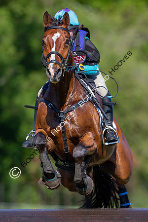 Houghton International
