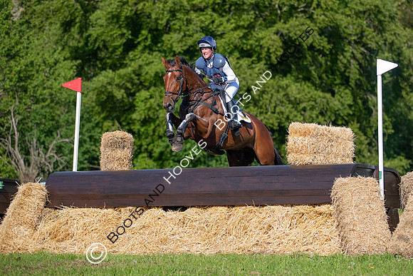 Houghton International