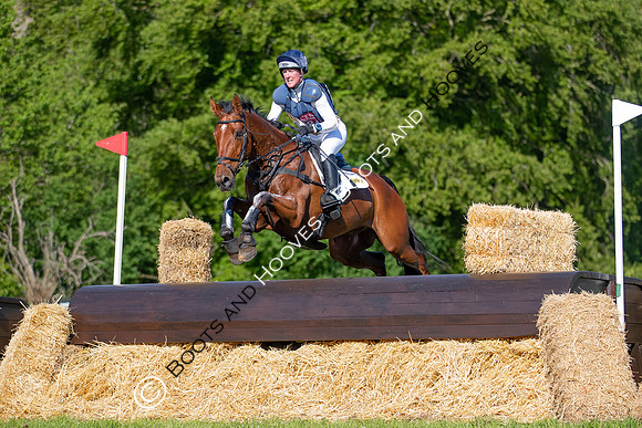 Houghton International