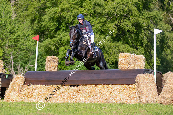 Houghton International