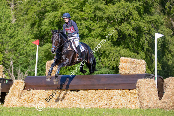 Houghton International