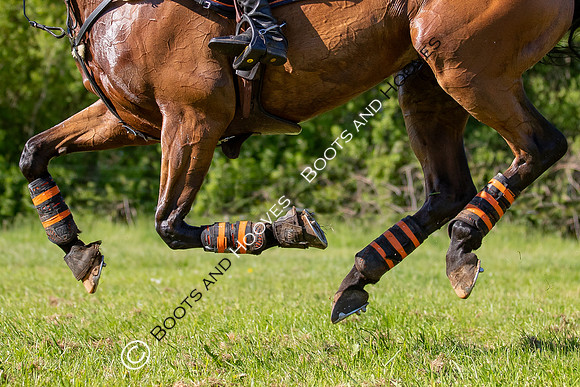 Houghton International