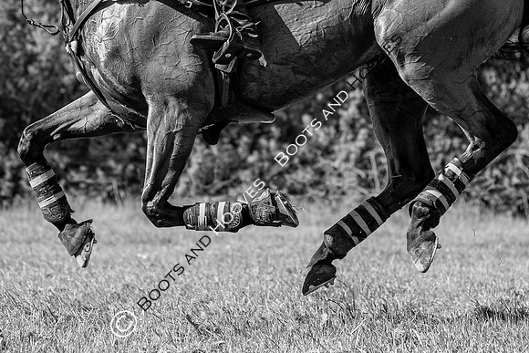 Houghton International