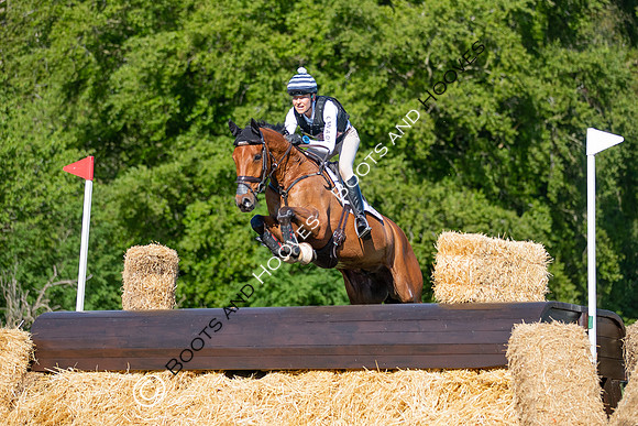 Houghton International