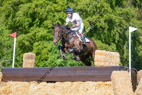 Houghton International