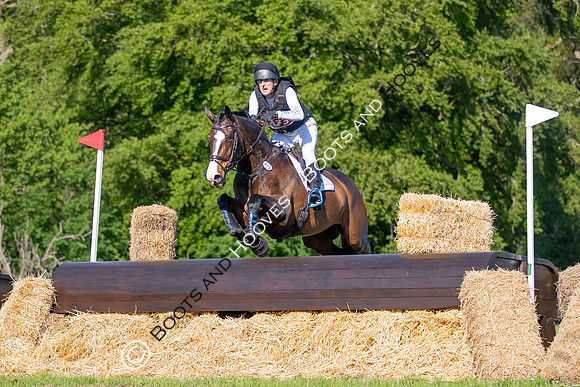 Houghton International