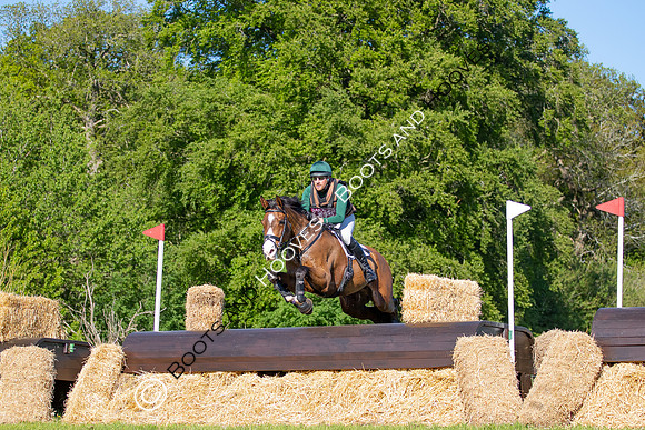 Houghton International