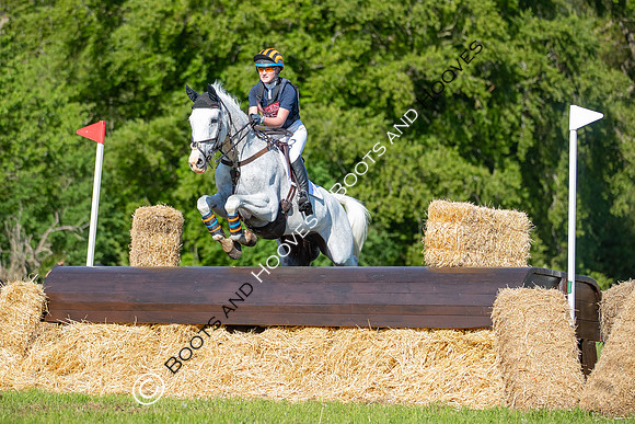 Houghton International