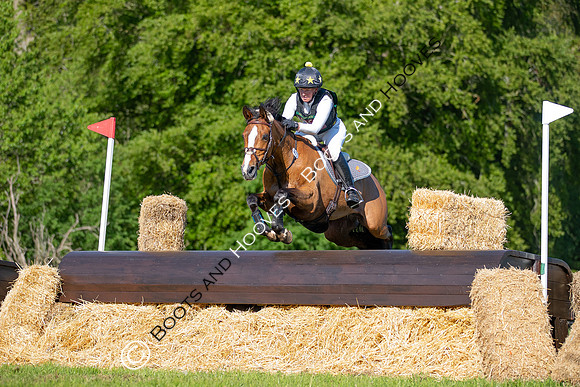 Houghton International
