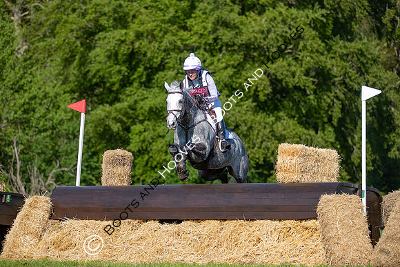 Houghton International