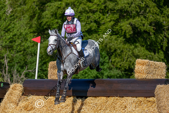 Houghton International