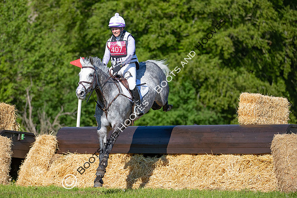 Houghton International