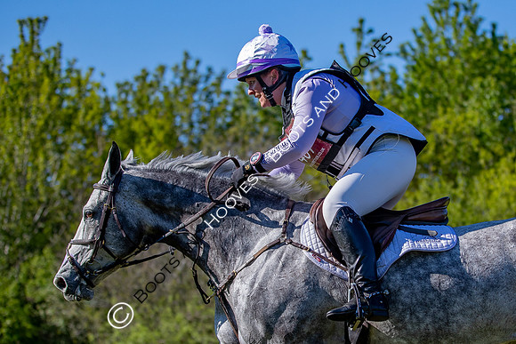 Houghton International