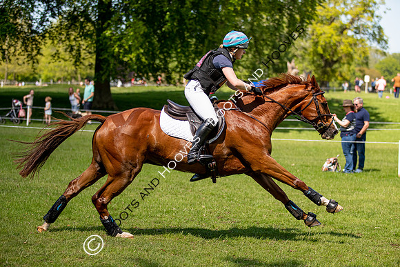 Houghton International
