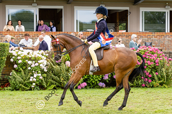 The Agria Royal International Horse Show