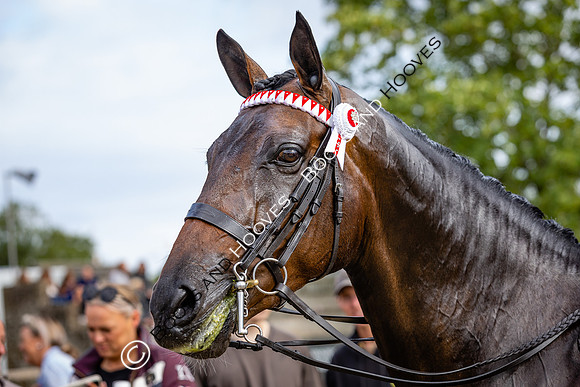 The Royal International Horse Show