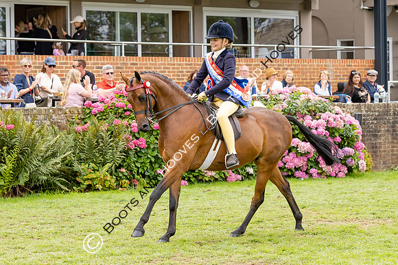The Agria Royal International Horse Show