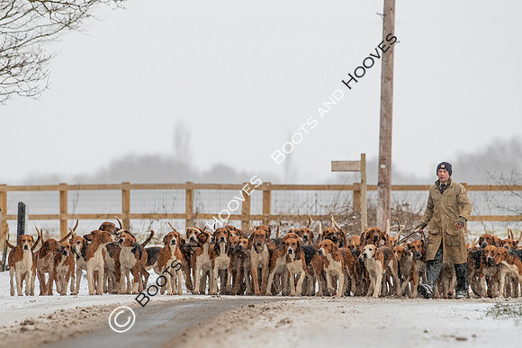 Hound Exercise