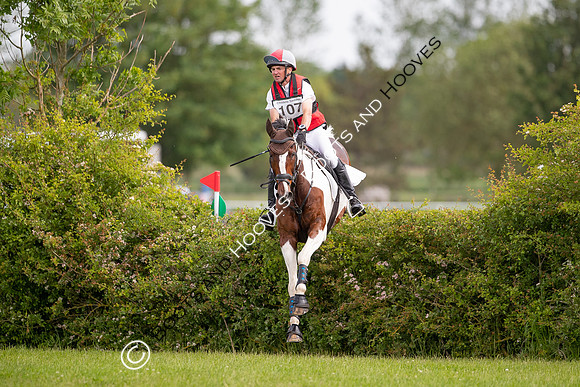 Childeric Saddles Little Downham (1),
