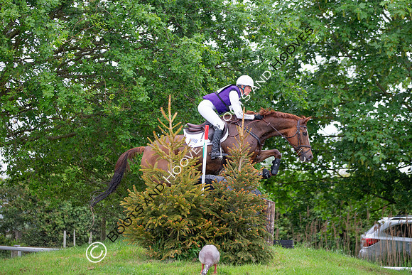 Childeric Saddles Little Downham (1),